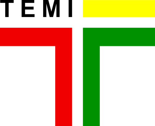 TEMI Logo